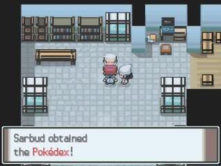 Pokemon Platinum: Everybody's Got Something to Hide Except Me and My Sloth MyZoom2009-12-1620-24-48-60