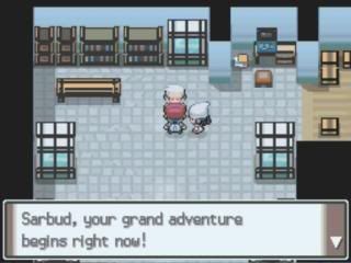 Pokemon Platinum: Everybody's Got Something to Hide Except Me and My Sloth MyZoom2009-12-1620-25-14-58