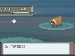 Pokemon Platinum: Everybody's Got Something to Hide Except Me and My Sloth MyZoom2009-12-1620-31-35-82