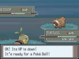 Pokemon Platinum: Everybody's Got Something to Hide Except Me and My Sloth MyZoom2009-12-1620-31-51-98