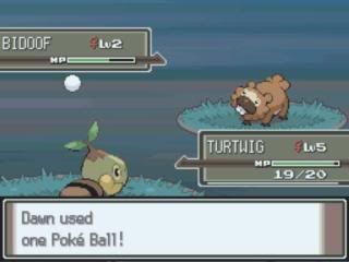 Pokemon Platinum: Everybody's Got Something to Hide Except Me and My Sloth MyZoom2009-12-1620-32-05-66