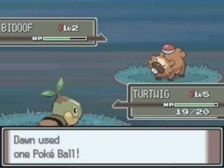 Pokemon Platinum: Everybody's Got Something to Hide Except Me and My Sloth MyZoom2009-12-1620-32-06-53