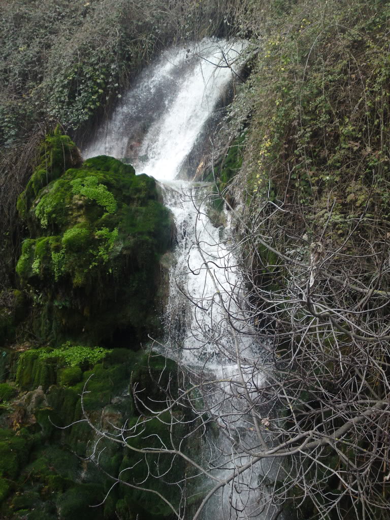 3ήμερο Κ.Δευτέρας 2011 (Νάουσα - Ζουρνάδες)...πάει, τέλειωσε...πάμε για άλλα DSC02605