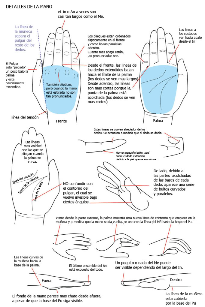 [Tutorial] - Como dibujar manos ~ Dibujandomanos3