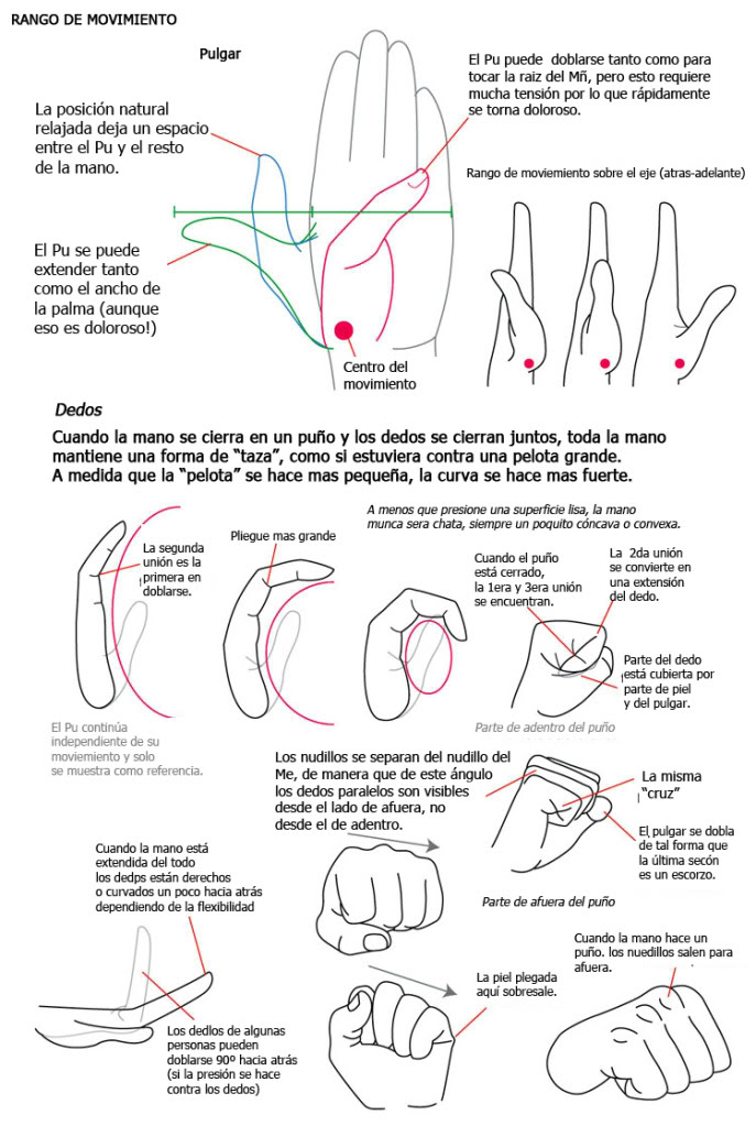 [Tutorial] - Como dibujar manos ~ Dibujandomanos4