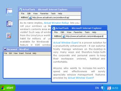 Actual Window Guard 8.11.2 Multilingual 8890db10ee32afa0fa42b17eeed8ea78