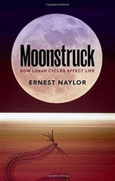 Moonstruck How Lunar Cycles Affect Life 4f9aa15654b5a8c620ec67fd2d16a691