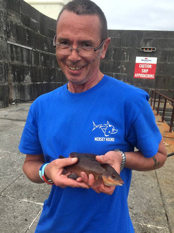 A Couple of trips to Wales ! Greg-wrasse