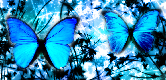 Cration Photoshop. Bannirebutterfly