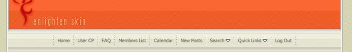 ~ 23 Vbulletin Skins EXtremePixels ~ Enlighten_prev