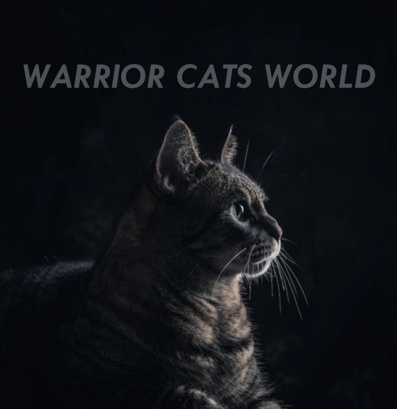 Warrior Cats World