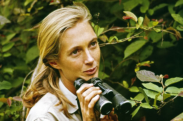 Mujeres destacadas en la historia 10q_jane_goodall_01