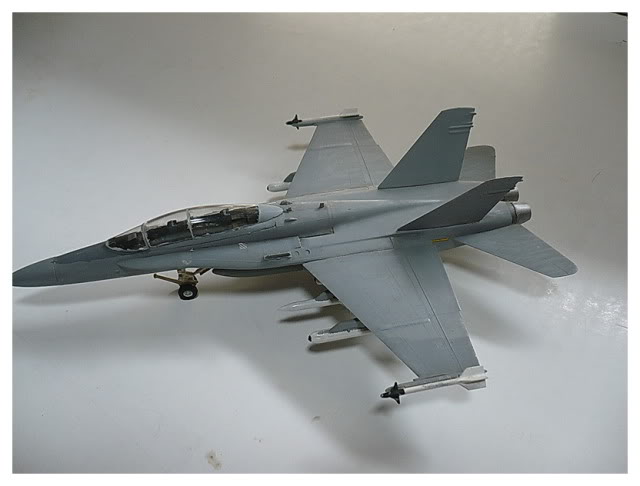 Modele de avioane militare - 2011 F-18picc02