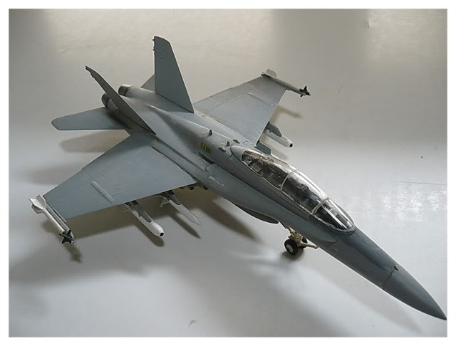 Modele de avioane militare - 2011 F-18picc03
