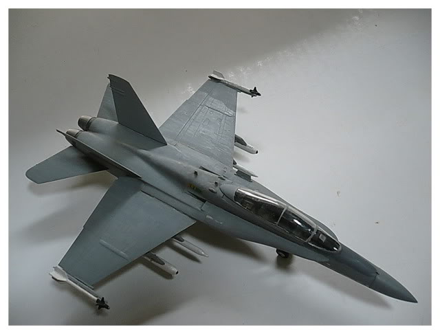 Modele de avioane militare - 2011 F-18picc07