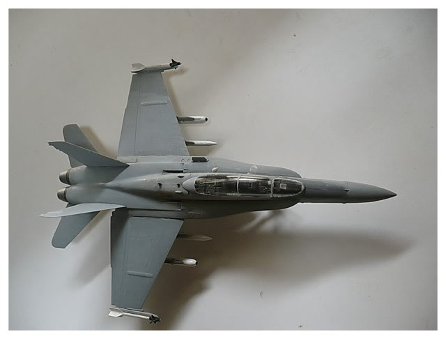 Modele de avioane militare - 2011 F-18picc09