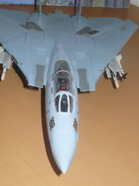 Modele de avioane militare - 2010 P1070425_resize