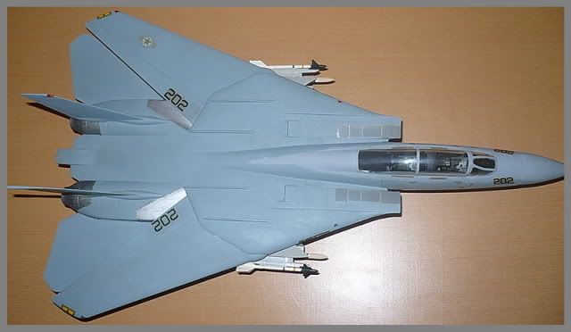 Modele de avioane militare - 2010 - Pagina 3 TomcatF-14mod10112010p1