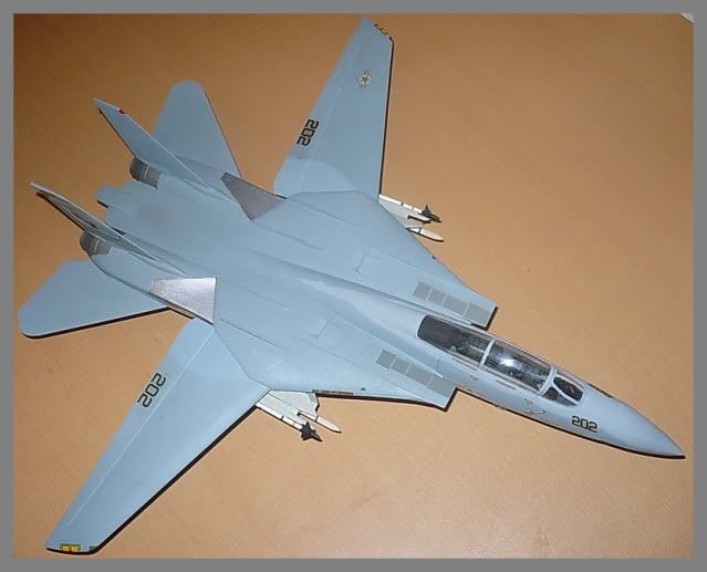 Modele de avioane militare - 2010 - Pagina 3 TomcatF-14mod10112010p2