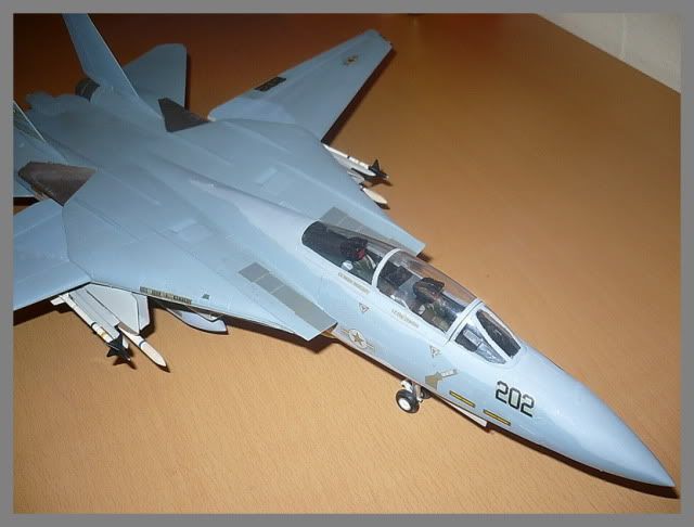 Modele de avioane militare - 2010 - Pagina 3 TomcatF-14mod10112010p3