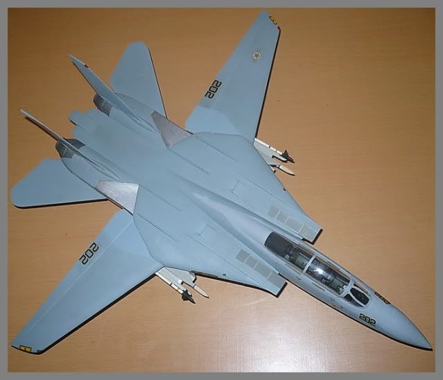 Modele de avioane militare - 2010 - Pagina 3 TomcatF-14mod10112010p4