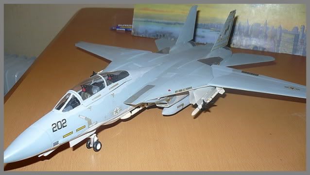 Modele de avioane militare - 2010 - Pagina 3 TomcatF-14mod10112010p5