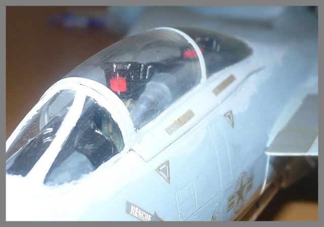 Modele de avioane militare - 2010 - Pagina 3 TomcatF-14mod10112010p6