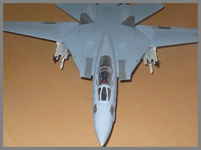 Modele de avioane militare - 2010 - Pagina 3 TomcatF-14mod10112010p9