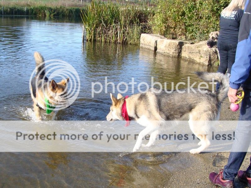 Jeskyns Park Walk - 14 October 2012 - PHOTOS DSC07298