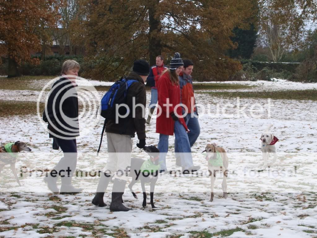 Mote Park Dog Walk - December Maidstone-2010-12-0516