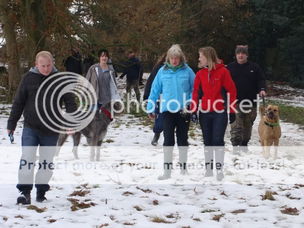 Mote Park Dog Walk - December Maidstone-2010-12-0519