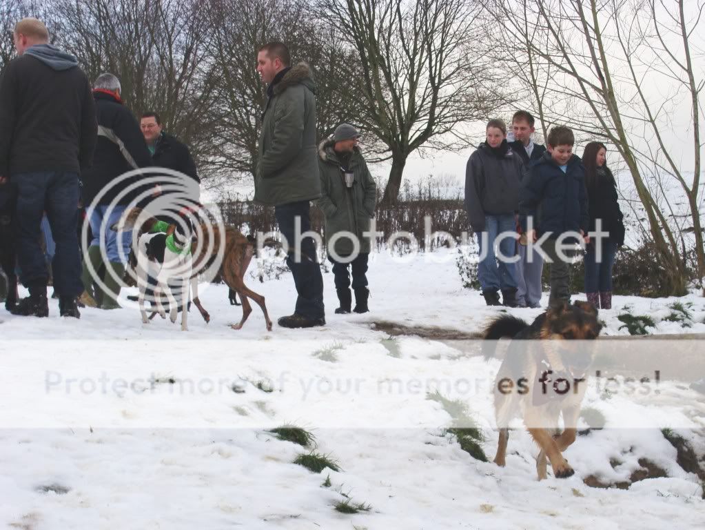 Mote Park Dog Walk - December Maidstone-2010-12-0538