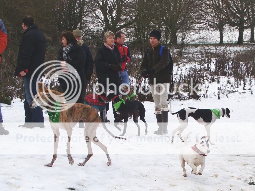 Mote Park Dog Walk - December Maidstone-2010-12-0539