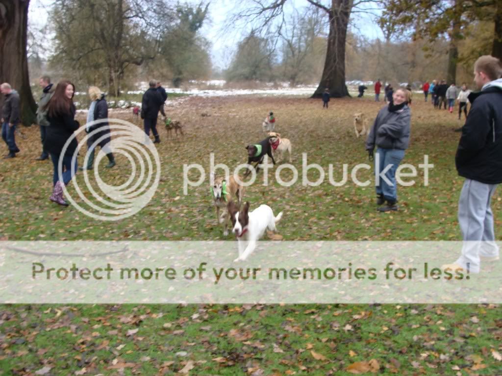 Mote Park Dog Walk - December Maidstone-2010-12-054