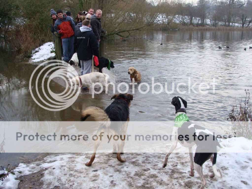 Mote Park Dog Walk - December Maidstone-2010-12-0540