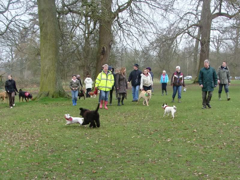 Mote Park Walk - Sunday 13th March 2011, 10 a.m. Maidstone-2011-03-1309