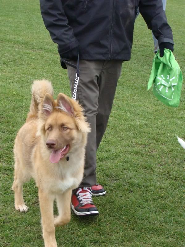 Mote Park Walk - Sunday 13th March 2011, 10 a.m. Maidstone-2011-03-1325