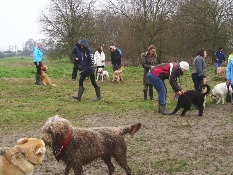 Mote Park Walk - Sunday 13th March 2011, 10 a.m. Maidstone-2011-03-1341