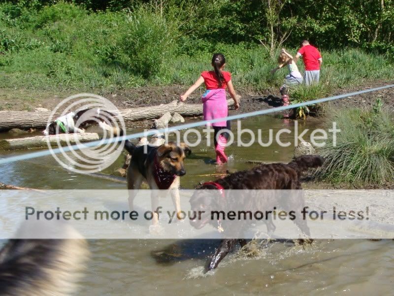 Mote Park Walk - Sunday 8th May 2011, 10 a.m. Maidstone-2011-05-0819