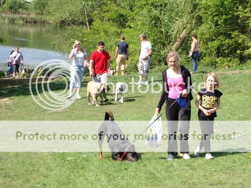 Mote Park Walk - Sunday 8th May 2011, 10 a.m. Maidstone-2011-05-0841