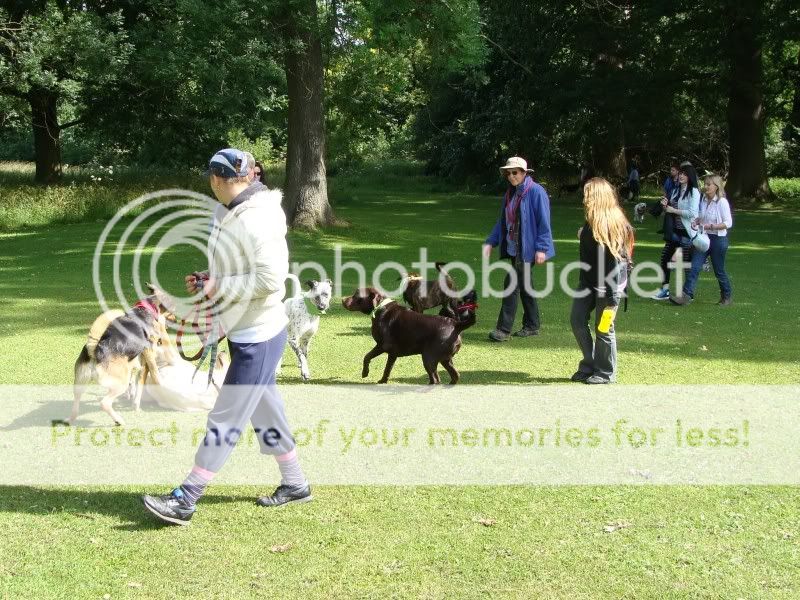 Mote Park Walk - Sunday 19th June 2011, 10 a.m. DSC09101