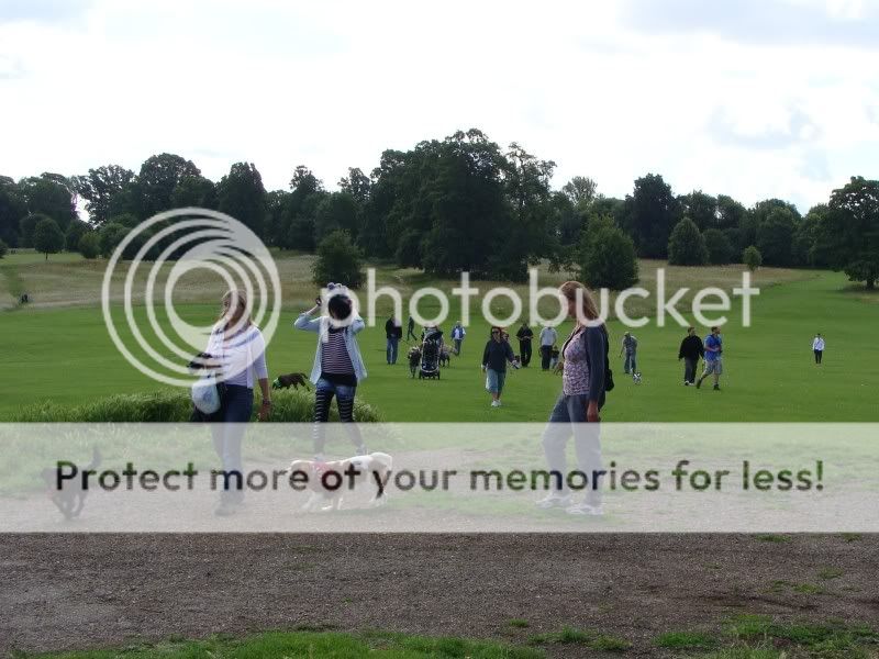 Mote Park Walk - Sunday 19th June 2011, 10 a.m. DSC09103