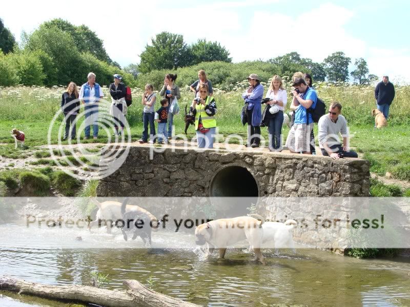 Mote Park Walk - Sunday 19th June 2011, 10 a.m. DSC09141