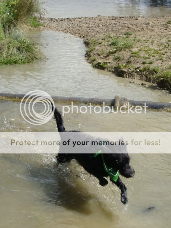 Mote Park Walk - Sunday 19th June 2011, 10 a.m. DSC09146