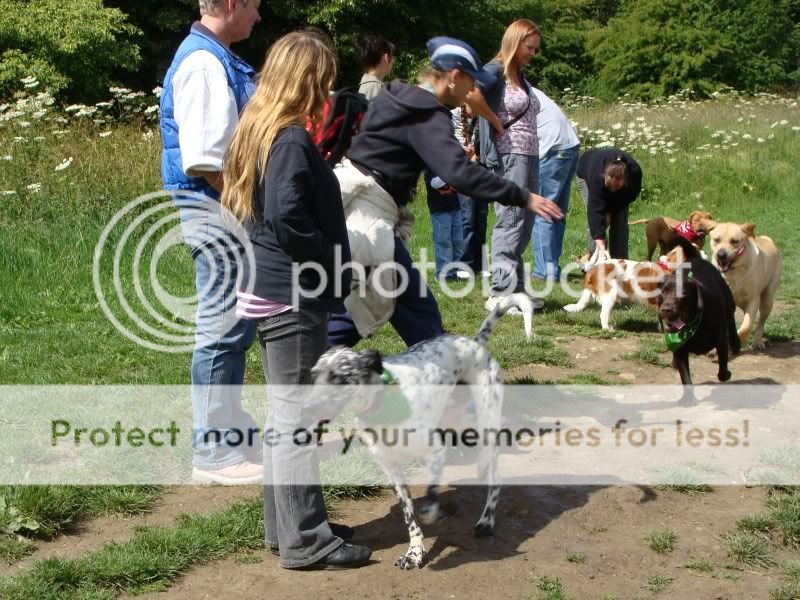 Mote Park Walk - Sunday 19th June 2011, 10 a.m. DSC09154