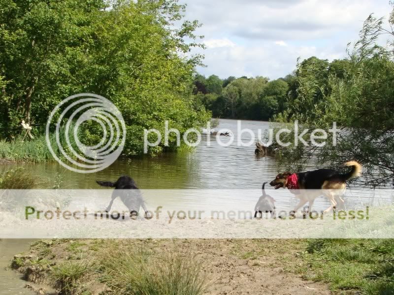 Mote Park Walk - Sunday 19th June 2011, 10 a.m. DSC09173