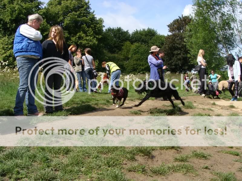 Mote Park Walk - Sunday 19th June 2011, 10 a.m. DSC09182