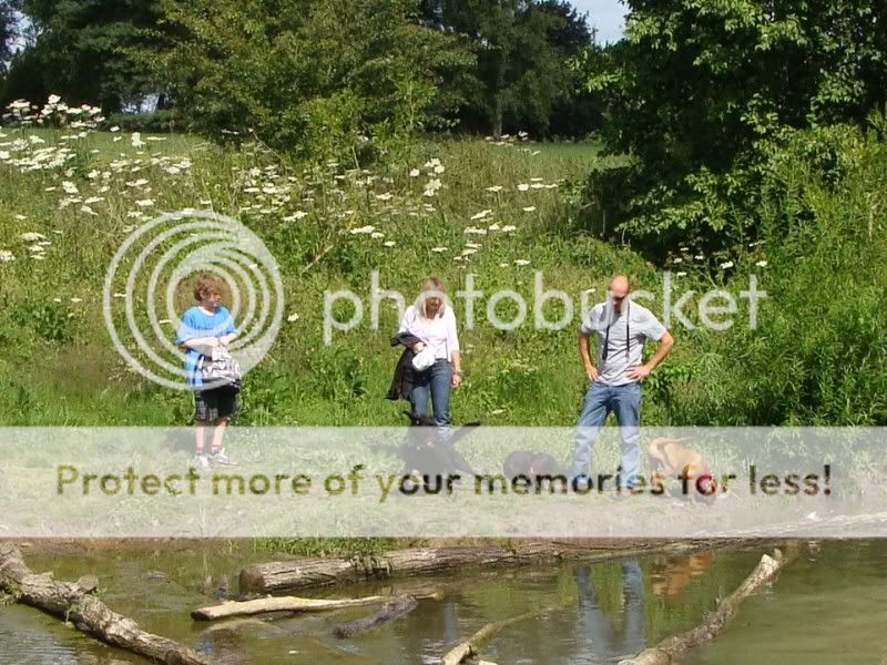 Mote Park Walk - Sunday 19th June 2011, 10 a.m. DSC09219