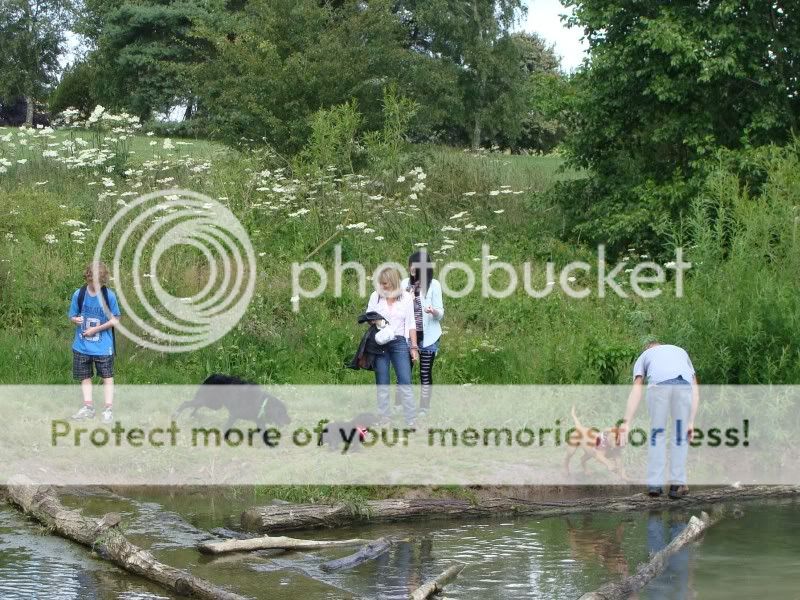 Mote Park Walk - Sunday 19th June 2011, 10 a.m. DSC09233