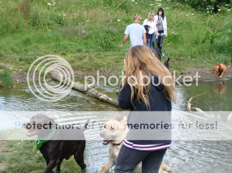 Mote Park Walk - Sunday 19th June 2011, 10 a.m. DSC09240